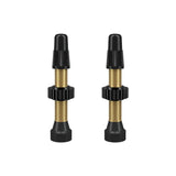 WTB TCS® Black Presta Valve 46mm, 2 pcs