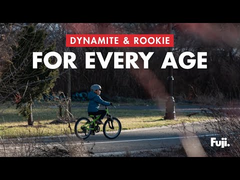 Fuji Dynamite 24 Pro Disc MTB